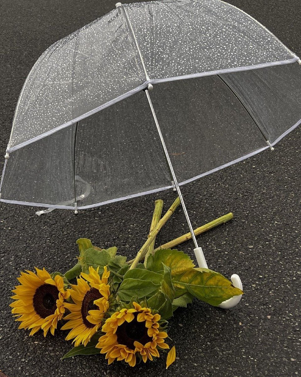 المتوكل لا تفزعه ضياع فرصة، ولا عدم اكتمال قصة، المتوكل يتقن التسليم في أكثر الظروف الغير متوقعة
لذلك، تلازمه الطمأنينة الدائمة.
#صباح_الخير