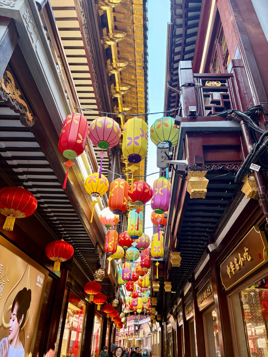 Rose42991316's tweet photo. 上海，春归梅绽，两会启幕。��外是料峭春风里第一枝红梅的傲骨，豫园城隍庙内已是万盏花灯璀璨，将年味熬得浓稠如蜜。无论走多远，上海永远为你亮着一盏灯。 https://t.co/wVPHd9F74P