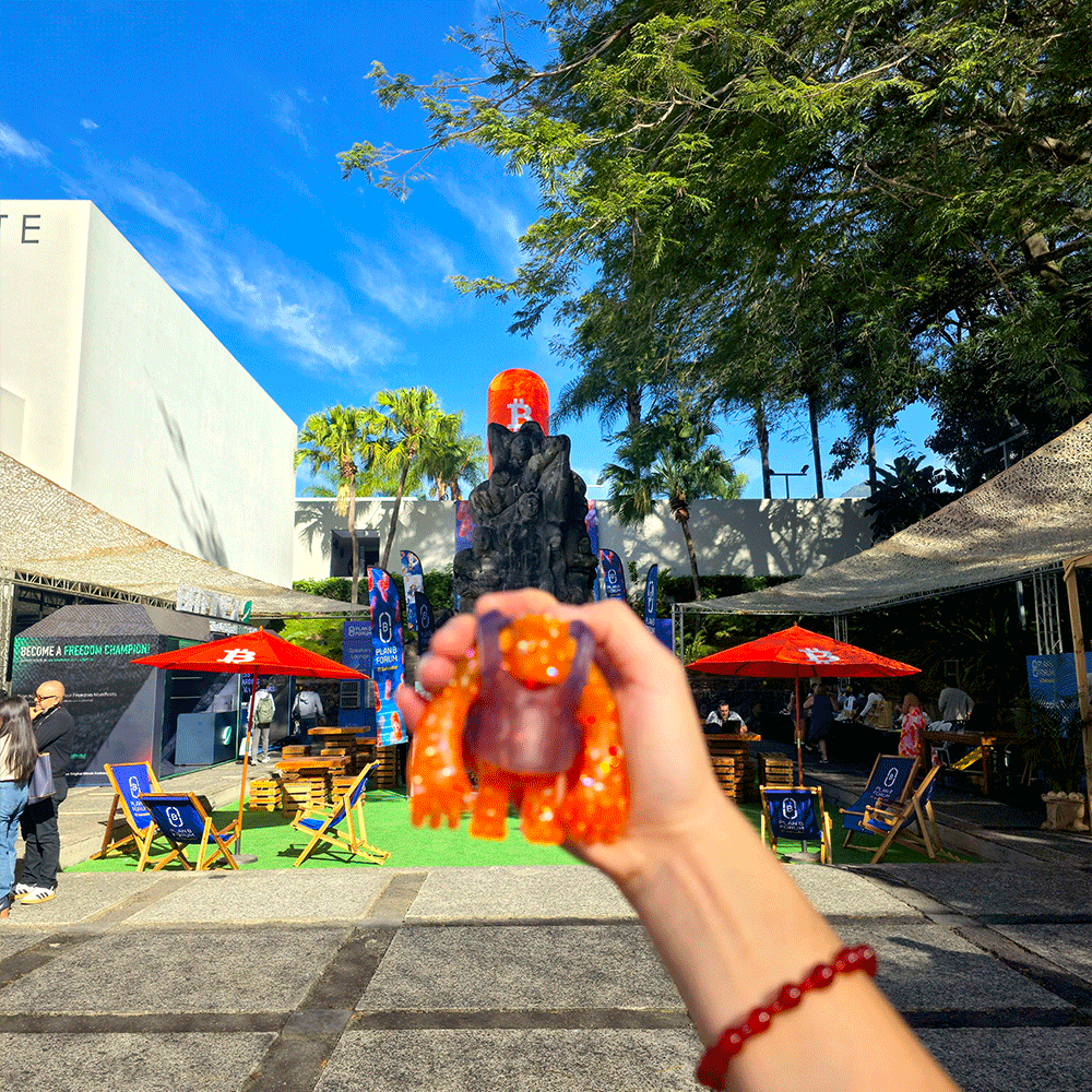 Nervape 🦍🦴 tweet media