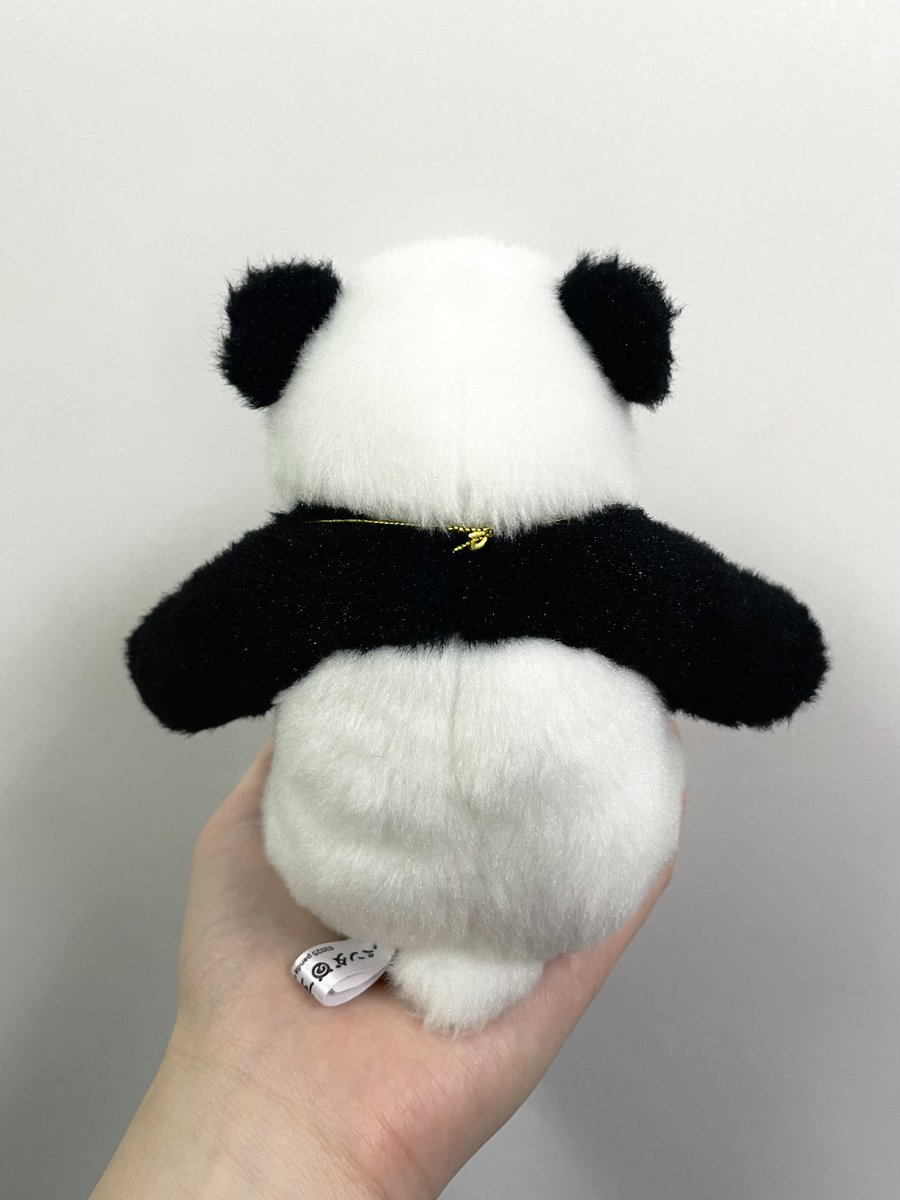 パンダのすごい世界」を観る前にお迎えして一緒に映画を観ようか