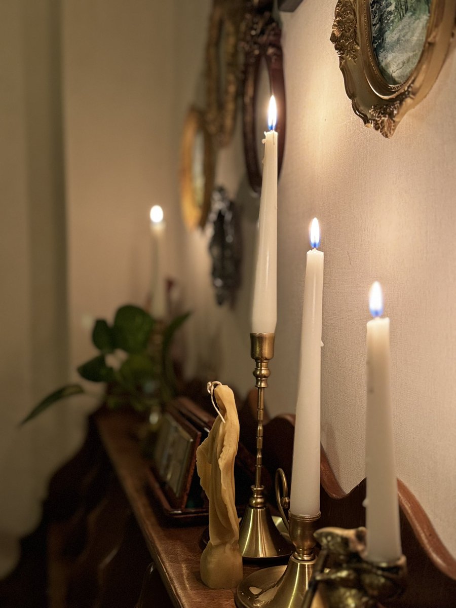 Maryam Hassani 💎 tweet media