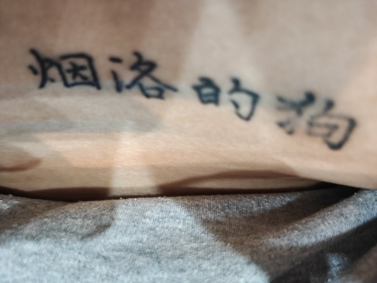 沃沃 tweet media