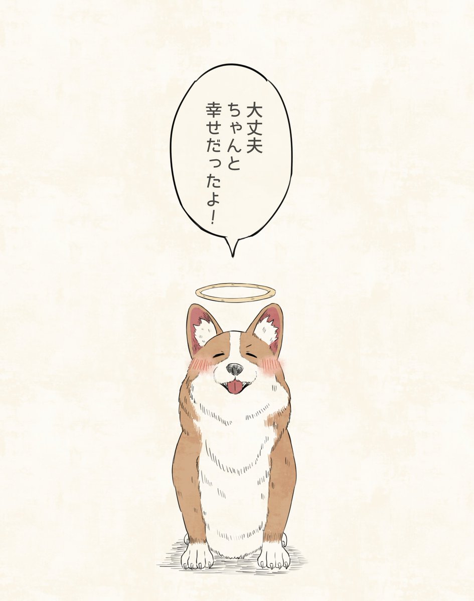 むつき(コーギー) (@dai2503) / Posts / X