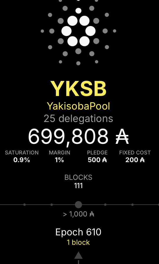 本ステークプールは611エポックへ移行しました。 610エポックでは1ブロックの生成スケジュール割り当てがあり、1ブロック生成しました。 これからも応援よろしくお願いします！そして皆様の委任をお待ちしております。🙇