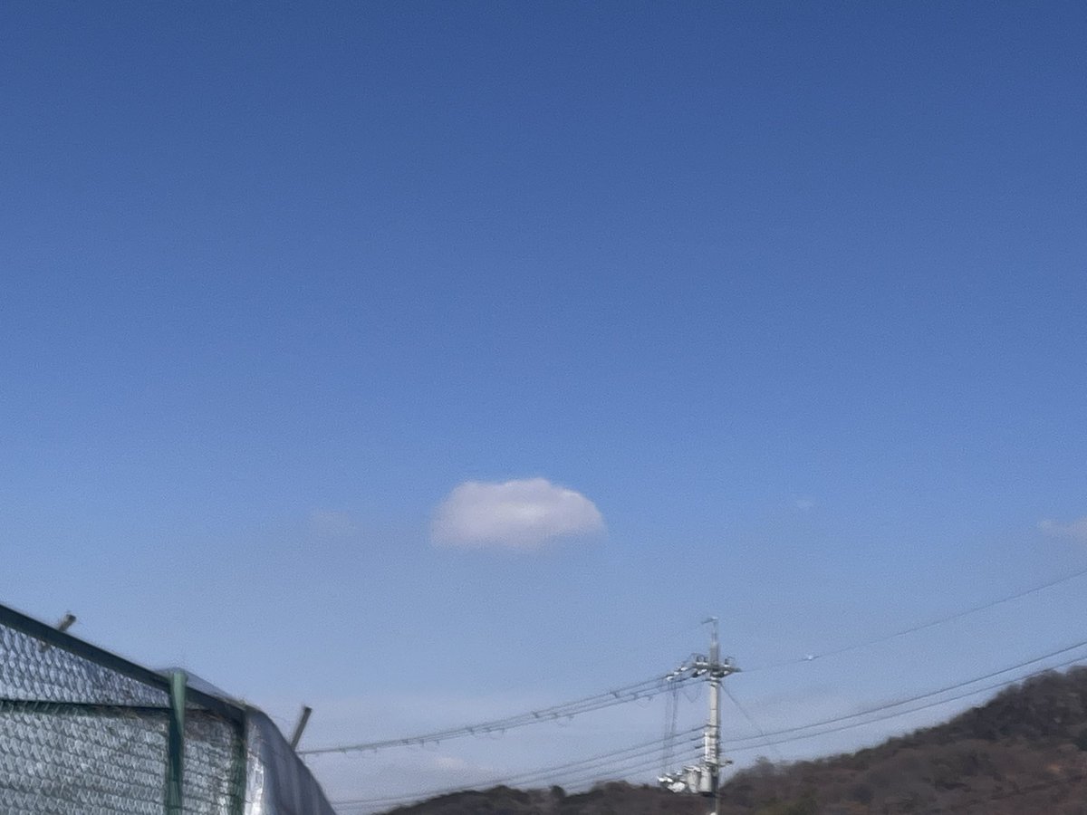 tanikonomi's tweet photo. 「Growing Everyday」

最終週はじまりました🌱
〜2/8(日)まで。
13:00-19:00 openです。

お見逃しなきよう〜

・

最終日は在廊します。
お会いできますと嬉しいです。
よろしくお願いいたします。

@hiromartgallery https://t.co/5JEHk1FiC0