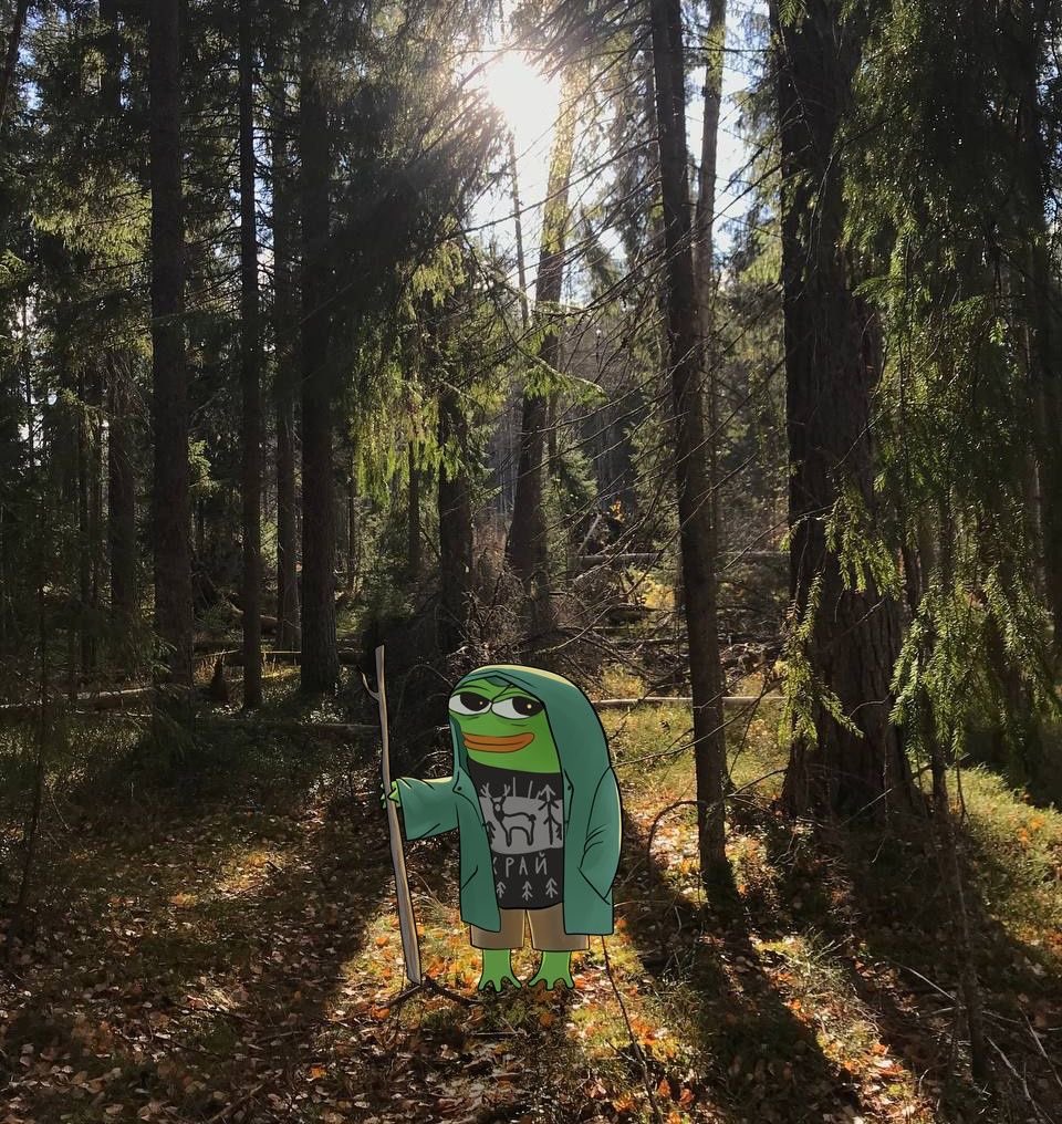 Deadguru tweet media