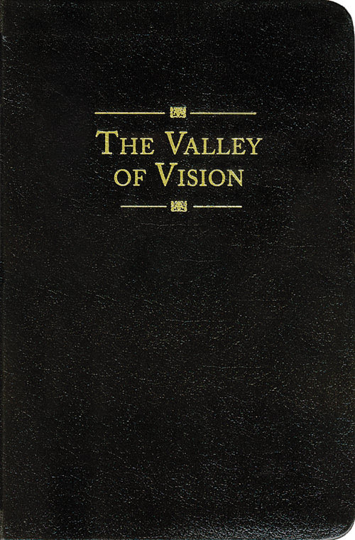“Lord, in the daytime, stars can be seen from deepest wells, and the deeper the wells the brighter thy stars shine.”

-Valley of Vision
