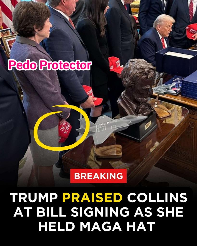 SueSrod8128's tweet photo. @SenatorCollins #GOPPedoProtectors #DefundICE Americans shouldn't ever be murdered in cold blood by domestic terrorists acting as law enforcement #VoteCollinsOut #DemocracyAtStake #TrumpIsUnfitForOffice https://t.co/UE9gOXX6oM
