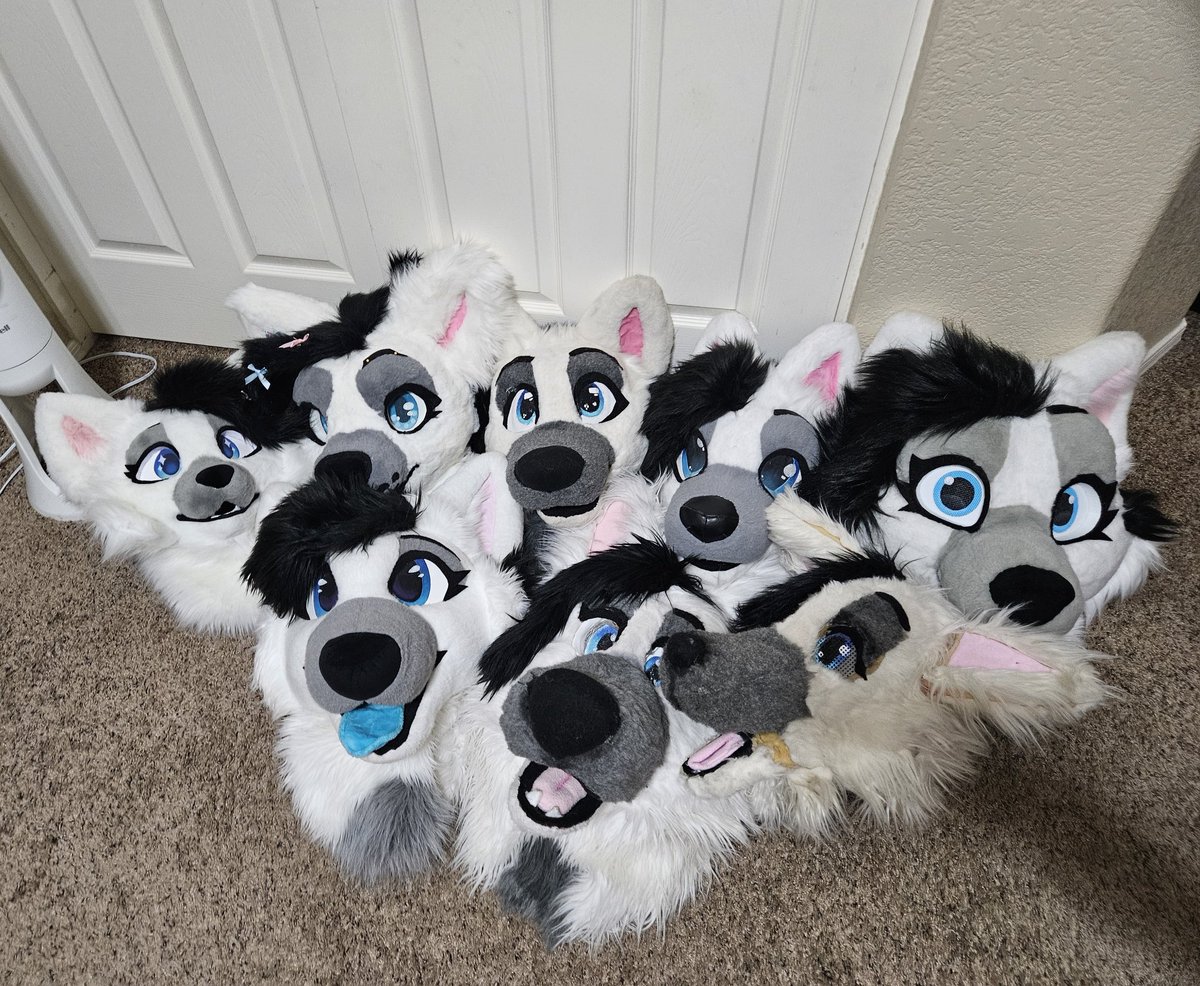 🐾❄Flake Wusky❄🐾 tweet media