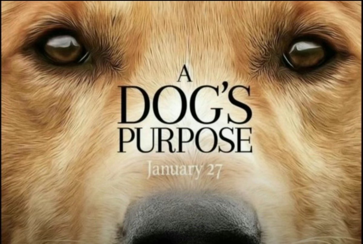 shootnow tweet media