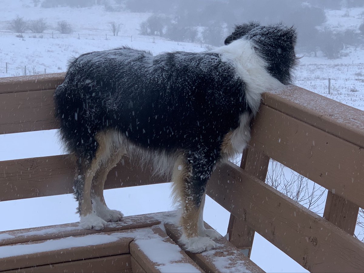 Dustin Walper tweet media