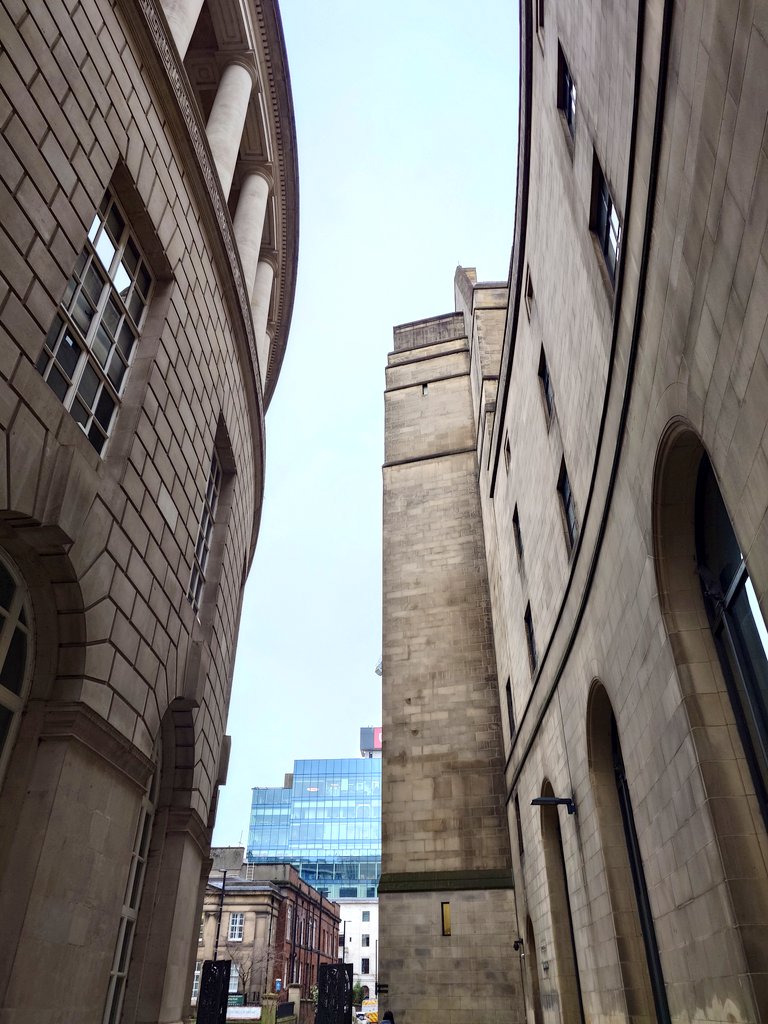 Monica NAUGHTON Crimmins tweet media