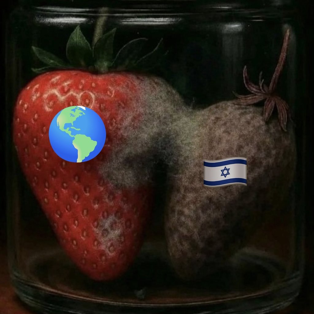 Soheyl 🟩☫🟥 🎖️ tweet media