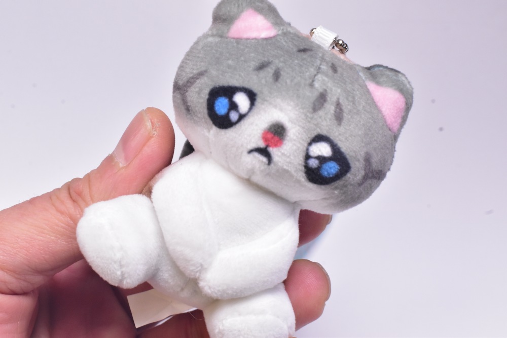 ✨新商品案内 2026年2月4日(水)✨／ ☑️ぴえん猫ミント ぷち