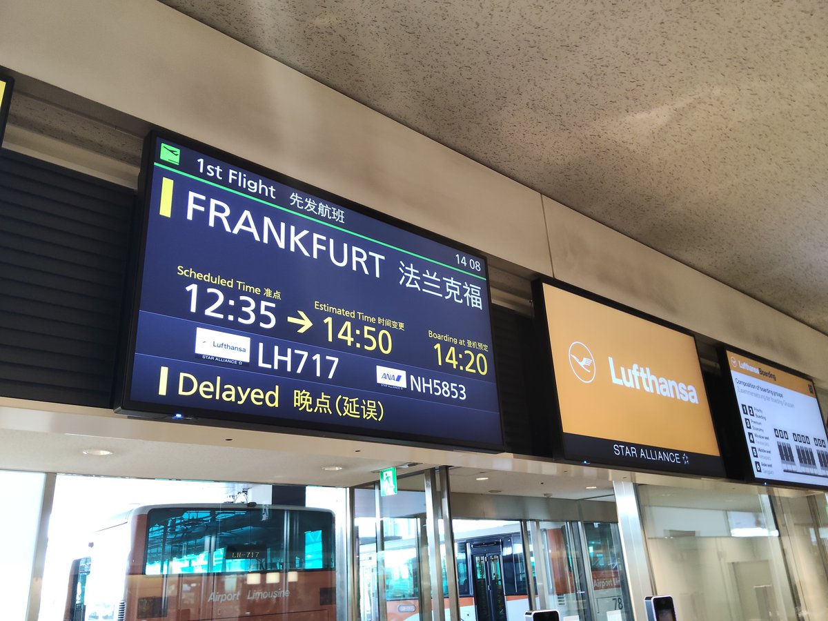 Thickey(ティッキー) tweet media