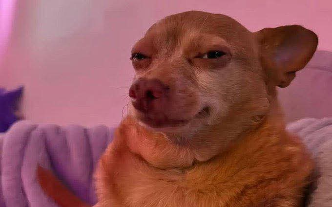 Me listening to jehova witnesses because they caught me off guard