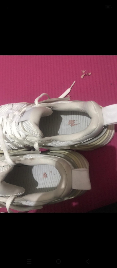 🦈 SUROBOYOFESS 🐊 tweet media