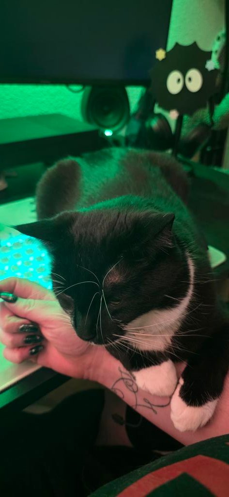 taay⁷ | ₂₀₁₉_₀₂₀₁ tweet media