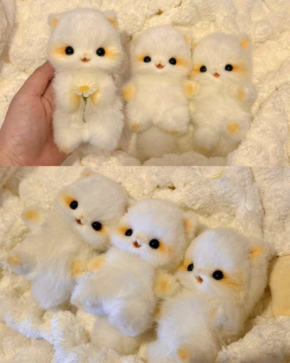 karin* (@chibipapikarin) / Posts / X