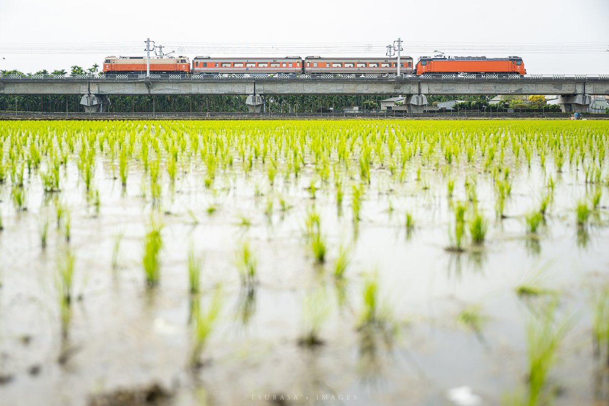 F. P. Cheng tweet media