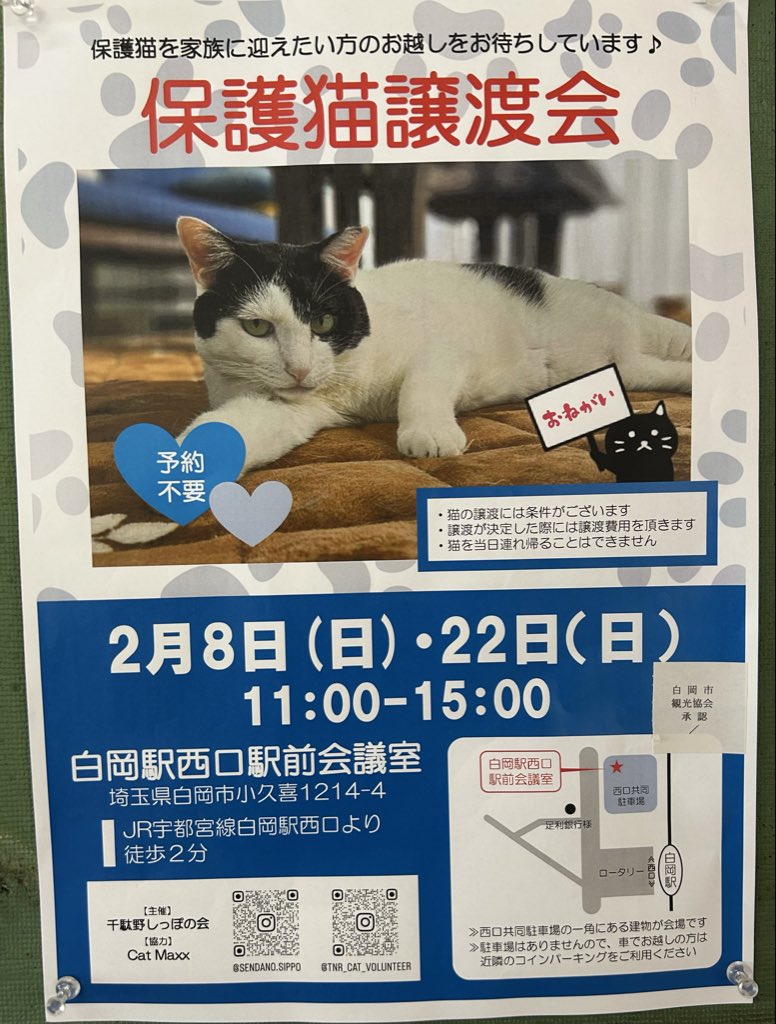 保護猫譲渡会のお知らせです！
白岡駅から本当に近く迷わず行けます！
お時間ありましたら是非
かわい子ちゃん迎えに来て下さい。猫ちゃんたち待ってます😸
 #久喜 ＃白岡  ＃保護猫譲渡会