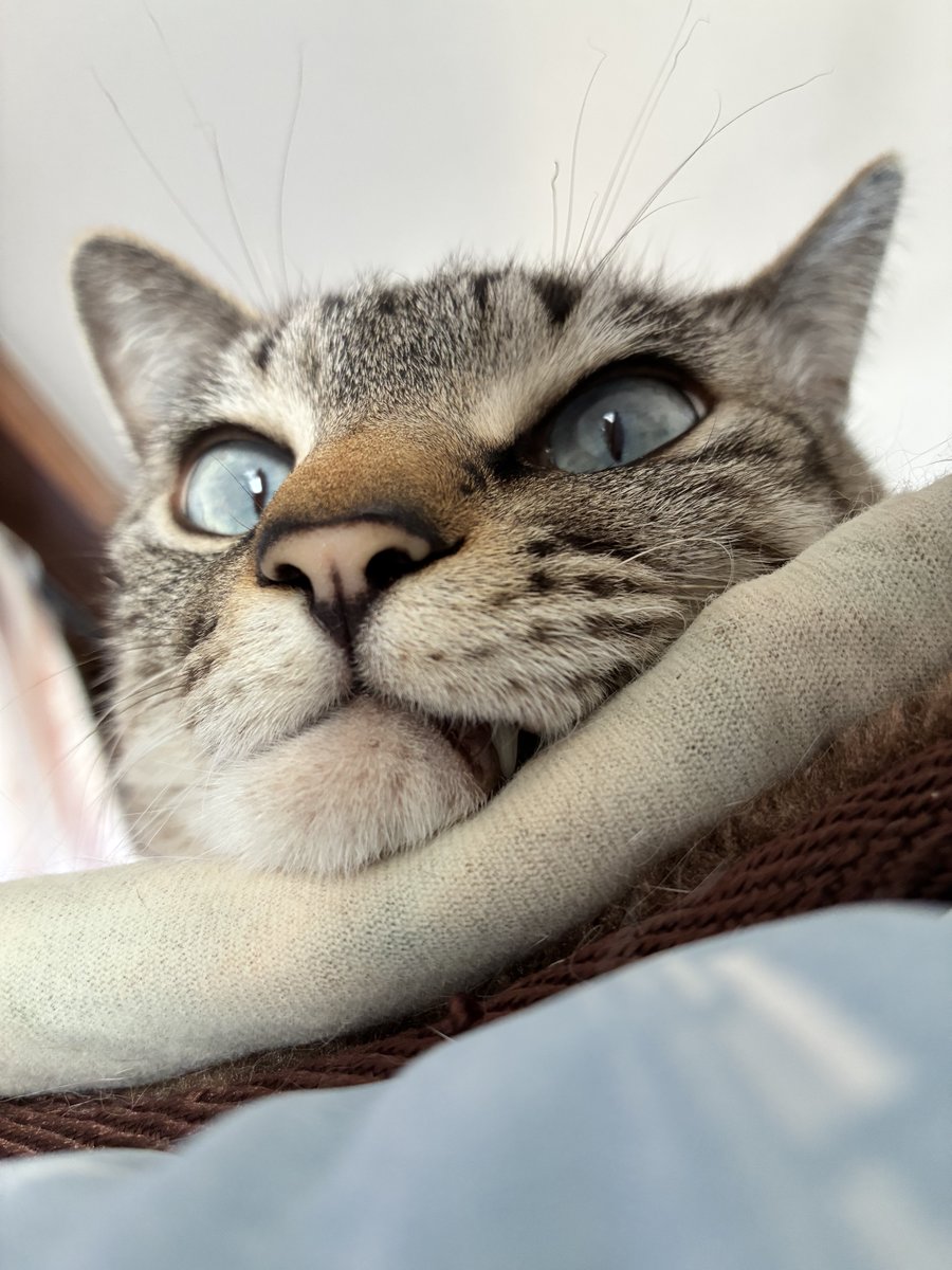 そら🐾 (@_sora0613_) / Posts / X