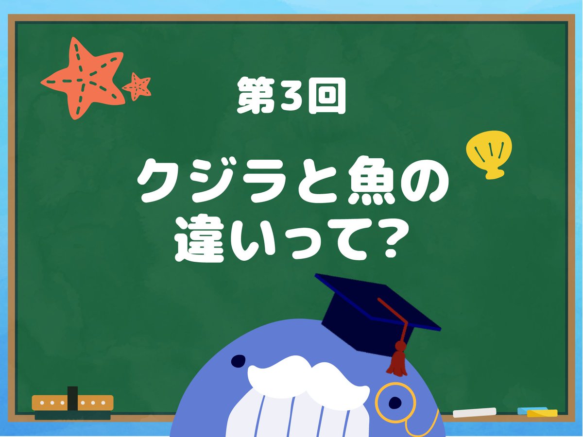 kujiratown's tweet photo. 【クジラと魚の違いって？】みんなが知りたい”クジラ”について簡単に解説していく『クジラ博士に学ぶ！』🐳
 第3回は「クジラと魚の違いって？」
クジラを知りたい！って思った方はぜひこのシリーズをみて学んでみてくださいね♪
詳しくはくじらタウンをチェック→https://t.co/AY3t8iZ3oF https://t.co/H3s2jjnmbX