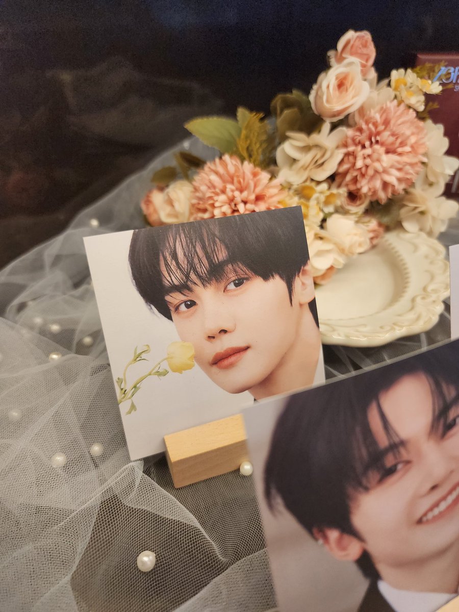 규비니를 단독으로 찍었지