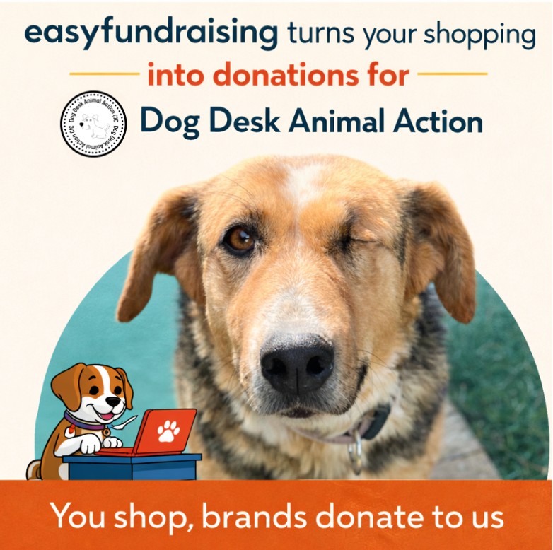 DogDeskAction's tweet photo. Help us do more for animals without spending a penny extra! 🐕❤️

Sign up with Easyfundraising and support Dog Desk Animal Action every time you shop online.

👇
 https://t.co/RlxYbKrnSa

#HelpStreetDogs #KindnessInAction #DonateForFree https://t.co/TEhSKWqH06
