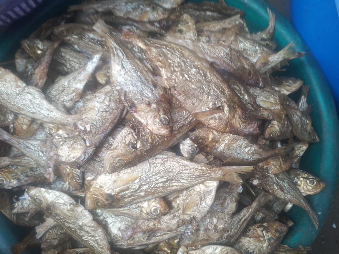 bolanleventures's tweet photo. Ramadan is a great time to explore delicious dishes with smoked fish! smoked fish adds a rich flavor to soups like Egusi or Okra, perfect for breaking fast. Try pairing it with fufu or rice for a satisfying iftar. 

Delivery available nationwide https://t.co/otq0SlTZnJ