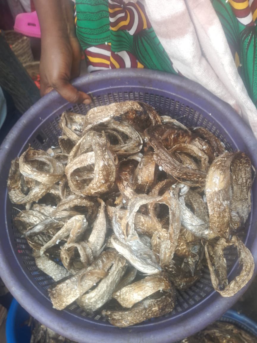 bolanleventures's tweet photo. Ramadan is a great time to explore delicious dishes with smoked fish! smoked fish adds a rich flavor to soups like Egusi or Okra, perfect for breaking fast. Try pairing it with fufu or rice for a satisfying iftar. 

Delivery available nationwide https://t.co/otq0SlTZnJ