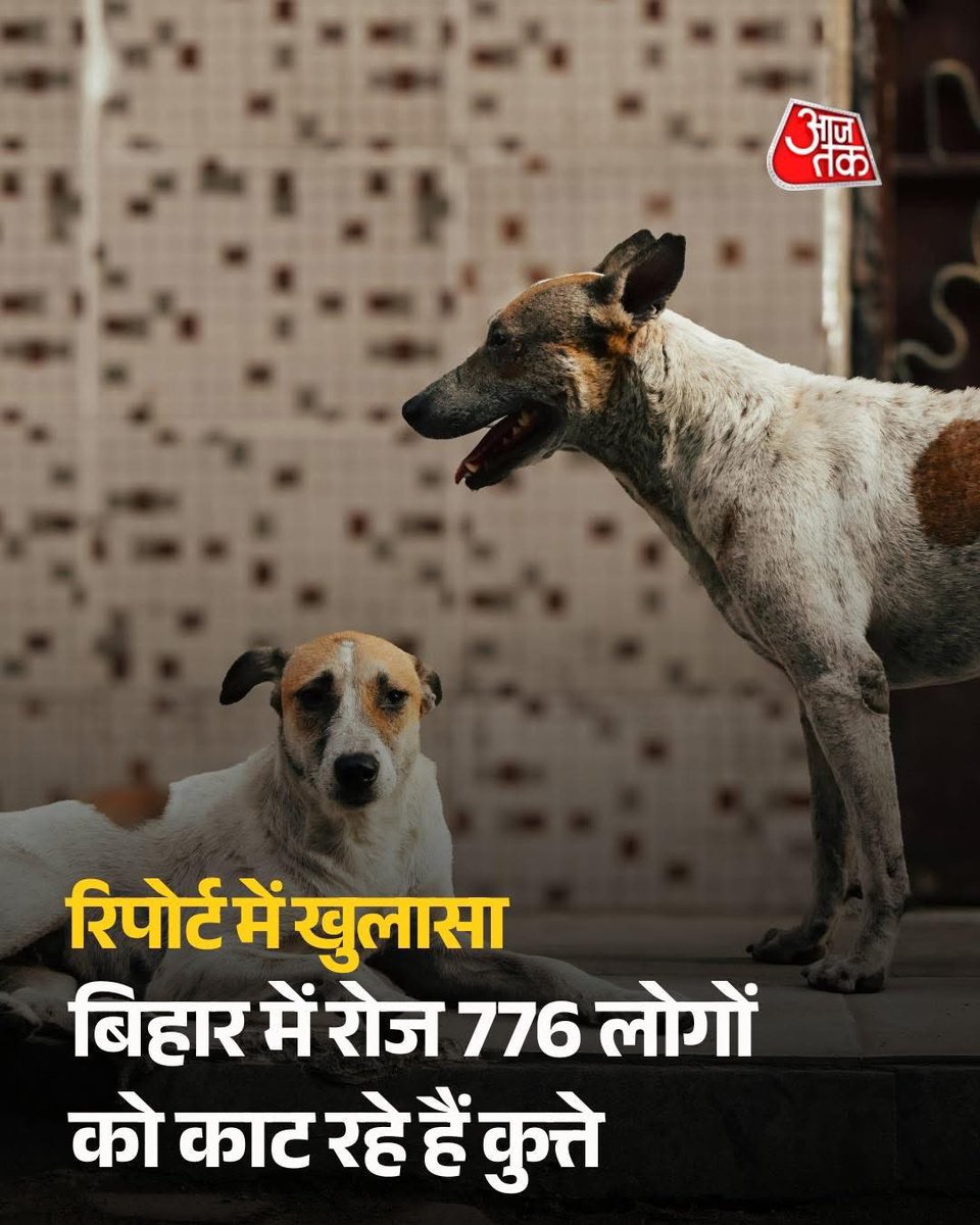 Arun_Kaku05's tweet image. How many died due to #Covid?
Govt : No Data

How many #farmers committed suicide?
Govt: No Data 

How many are #unemployed?
Govt: No Data 

How many #Shel companies 
Govt: No Data 

Black money in #Swissbank
Govt: No Data 

How many People died due to #oxygen shortage
Govt:No