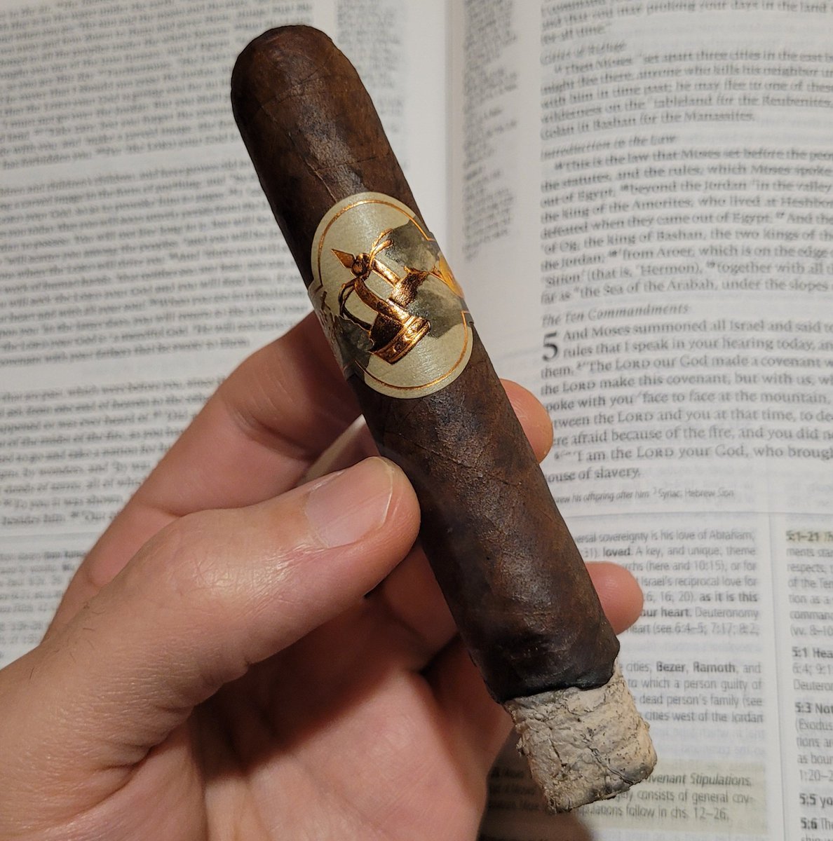 InsomniacCigars's tweet photo. Shout out to @jjrcigarpage for this tasty classic! #AllOutKings
#ShouldISmokeThis #GarbagePalateGang #cigars #CigarLife https://t.co/xDoPfdf04s
