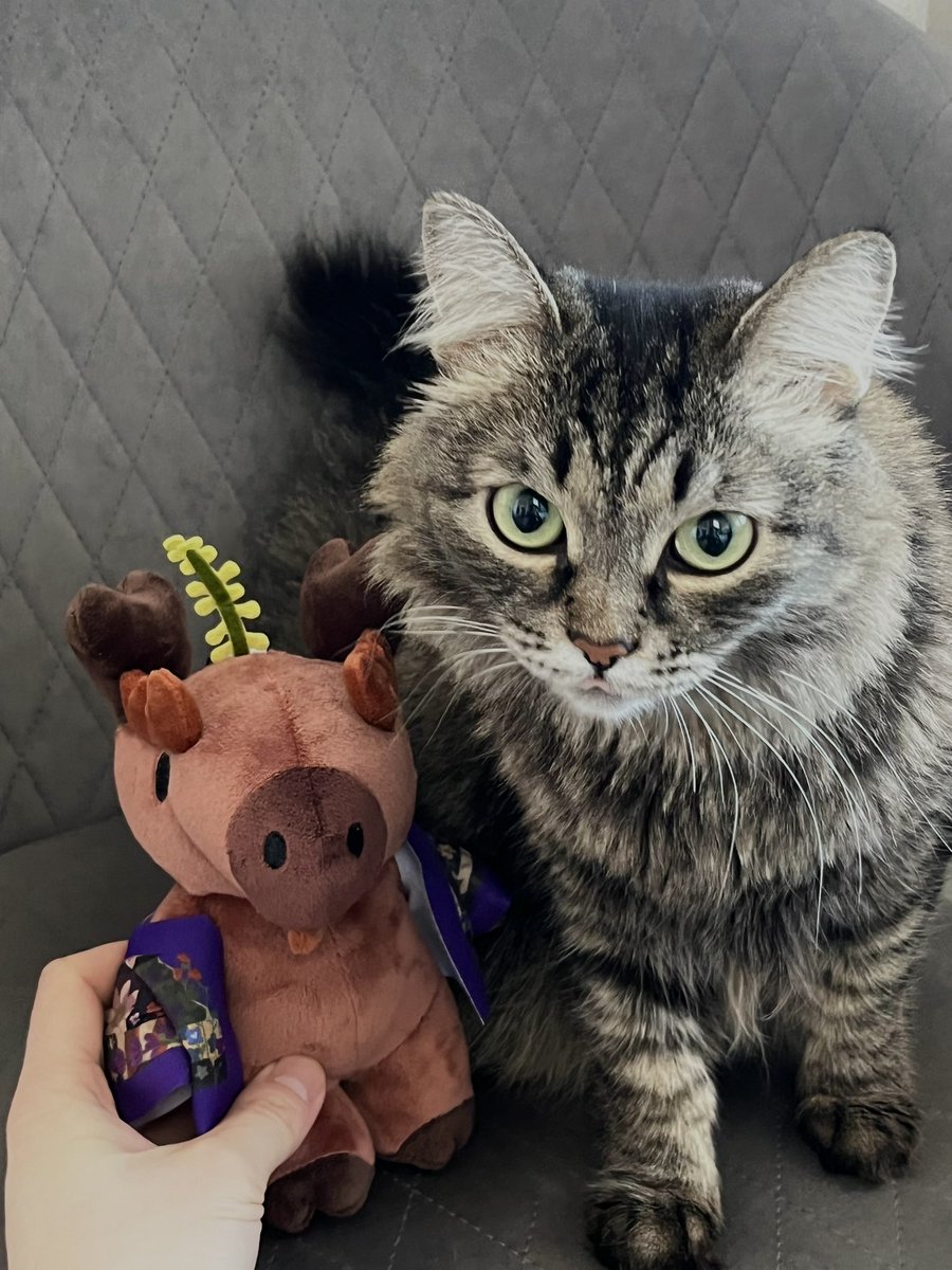 Thx <a href="/shizudio/">Shina</a> <a href="/Perenimals/">Perenimals</a> and <a href="/PopX_official/">PopX (Pop or Never)</a> for that cutie 
🪻