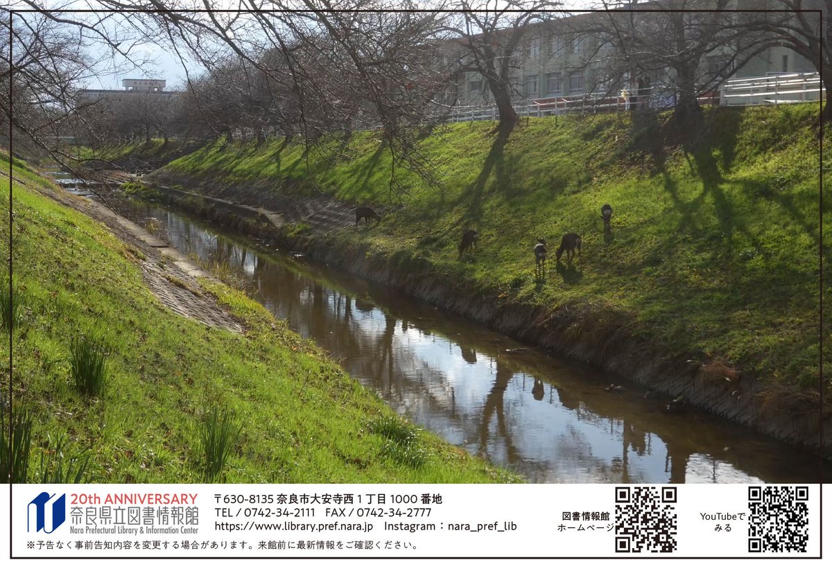 映像作家 保山耕一 常設上映 2月の作品
「小春日和・佐保川」
〜2/26（木）まで
上映時間：15:00~20:00

本映像の特製ポストカードを図書情報館でお配りしています（無くなり次第終了）。
library.pref.nara.jp/gallery/4787

youtube.com/channel/UChkdA…

#保山耕一　#奈良時の雫　#図書情報館　#奈良県　#奈良