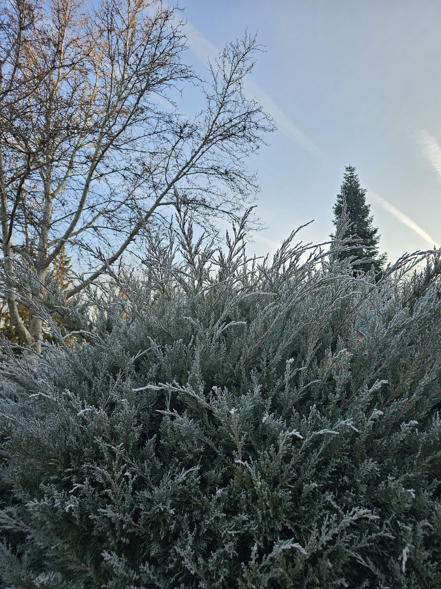 Günaydın 🦋🍀🐞☕️🙋‍♀️