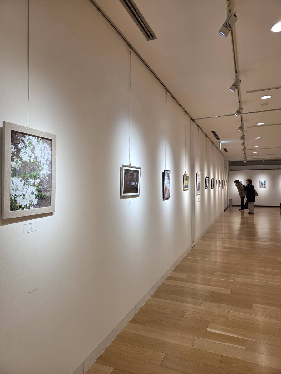haradeteruinaba's tweet photo. パレット柏で
小川兄弟とみんなの写真展
12日まで開催中です📷️

いつも知っている人たちが
どんな写真を撮影されたのか？
どういう目線で世界をみているのか？

みていて楽しかったです✨
小川兄弟さんのお写真も
展示していまーす☝️

#小川兄弟 https://t.co/Ekwu2u4wsW