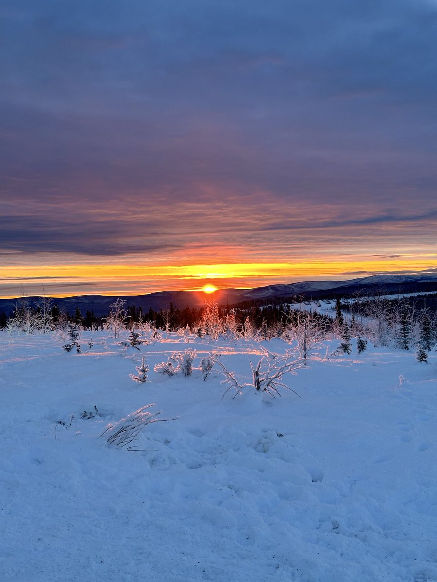 Enterprise AI Builder tweet media