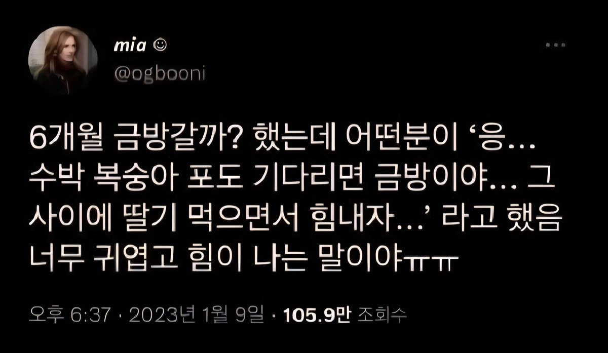 요키(퇴사전문가) tweet media