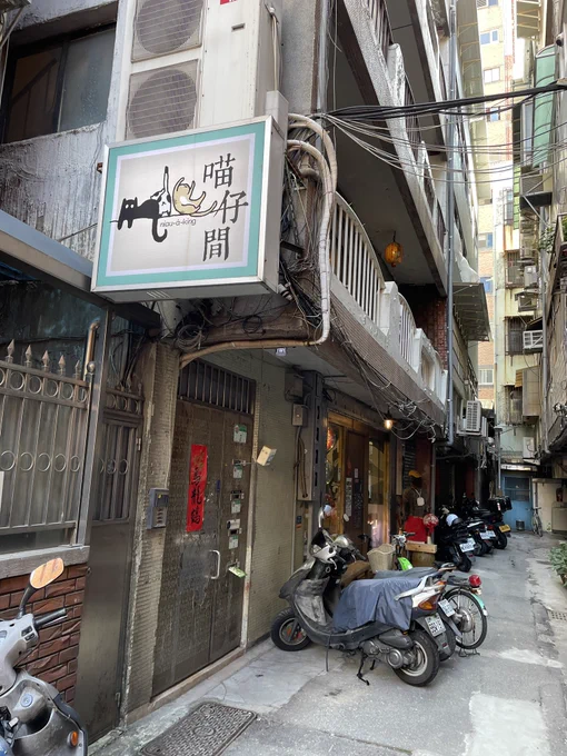 迪化街の片隅に猫ちゃんのいるカフェあって休憩夜はバーみたい。 いい穴場スポット見つけて嬉しい