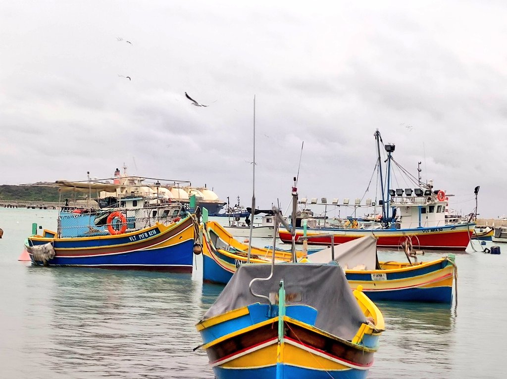 miaferrys's tweet photo. #marsaxlokk #Malta https://t.co/vl19gjyuaa