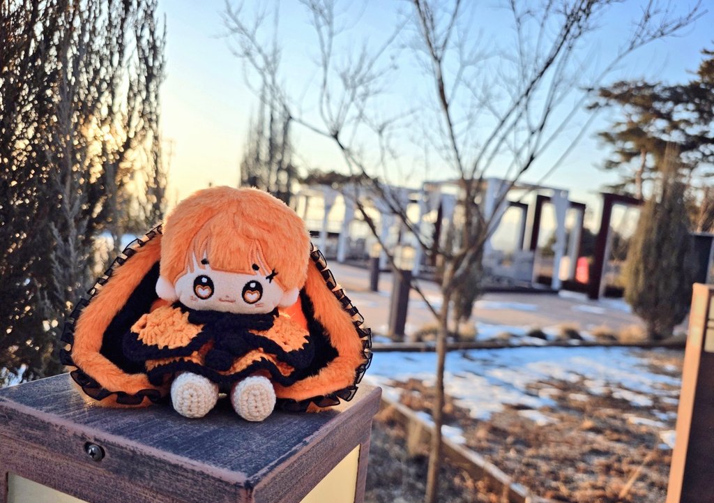 호박이와 함께하는 겨울 풍경 ❄️
#우주선에서_토끼가내려와_하는말_리비리비립