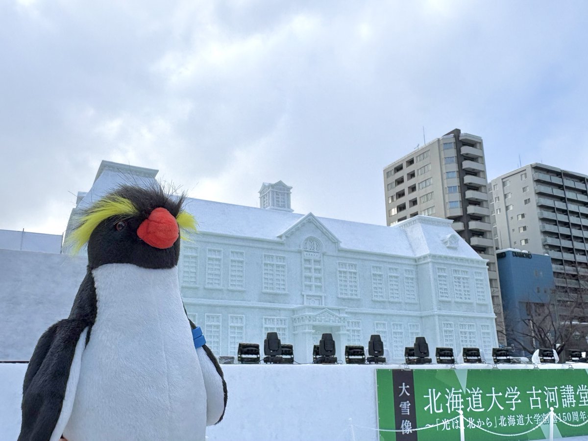 AOAO SAPPORO（アオアオ サッポロ） (@aoao_sapporo) / Highlights / X