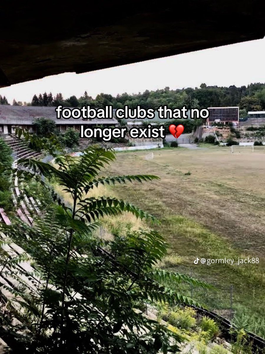 Momo🥵🇨🇦 tweet media