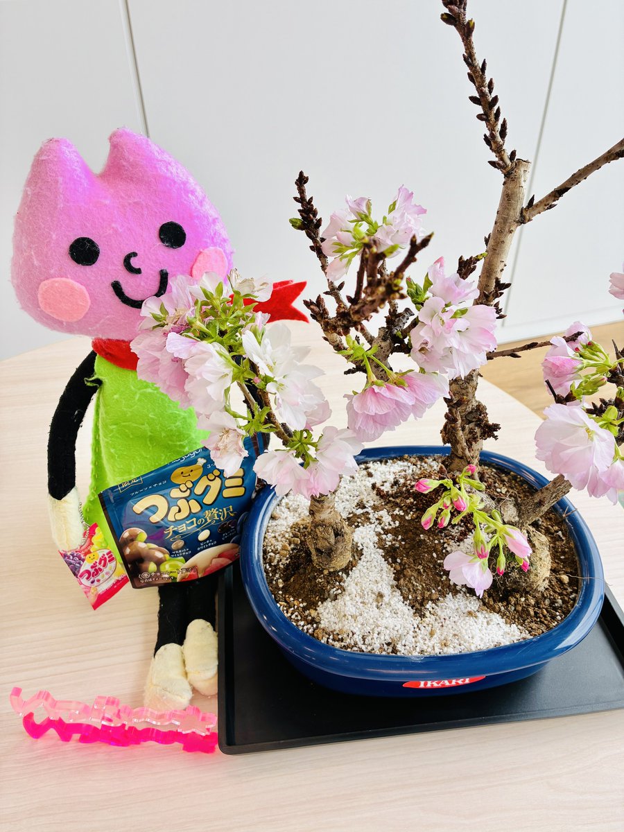 ナイスカラーリング✊❤️