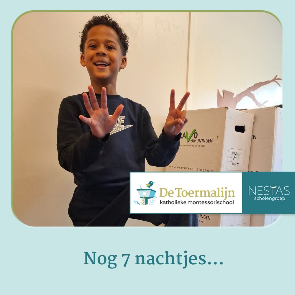 KBS de Toermalijn tweet media
