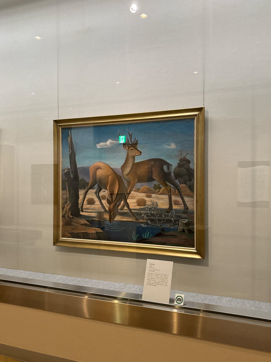 ArtmuseumN's tweet photo. ━━━奈良といえば鹿🦌ですが━━━

美術家たちは各々の表現を追求して多彩な鹿像を制作しています。

浜田葆光は冬枯れの奈良公園で、
新たな生命を宿した雌鹿と、芽吹いたばかりの猫柳を描き、生命の神秘を表現しました✨

画像1枚目：浜田葆光《水辺の鹿》 当館蔵 https://t.co/LpdLkeKbi4