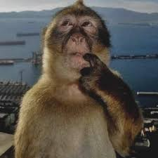 if i was friends with jeffrey epstien...?