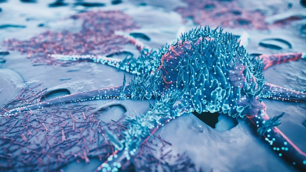 South Korean scientists at KAIST have developed a breakthrough technology that reprograms colon cancer cells back into a normal-like state. By identifying and inhibiting key molecular switches (like MYB, HDAC2, FOXA2), they reverse malignancy without killing cells, avoiding