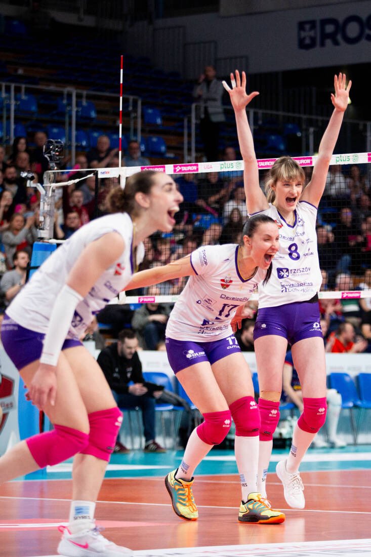 TAURON Liga tweet media